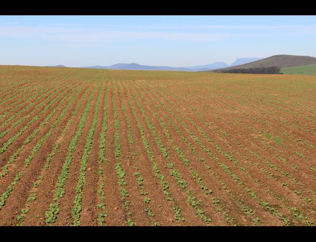 110HA FARM FOR SALE IN MALMESBURY RURAL